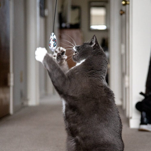 MUNEWARI CAT POLE TOY