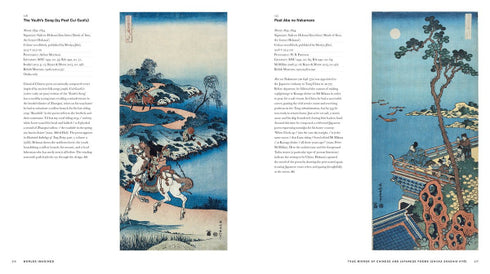Hokusai: beyond the Great Wave Clark, Timothy