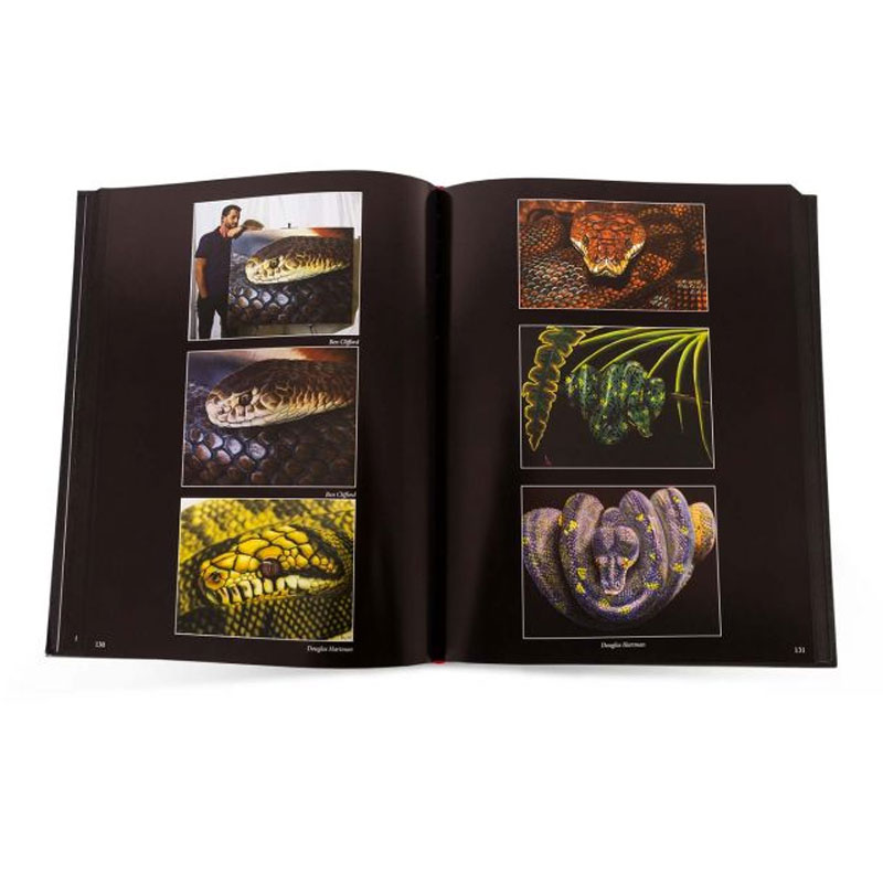 Slithers and Scales of Inspiration: The Reptile Art Project (Reptile book) (Out of Step Books)